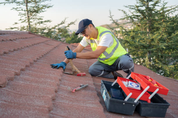 Gutter Installation and Roofing in Prophetstown, IL