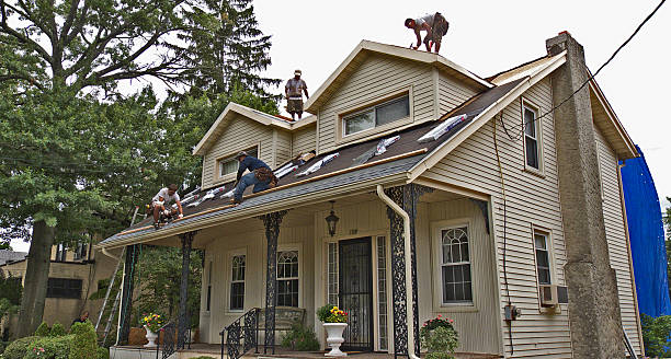 Best Flat Roof Repair Services  in Prophetstown, IL